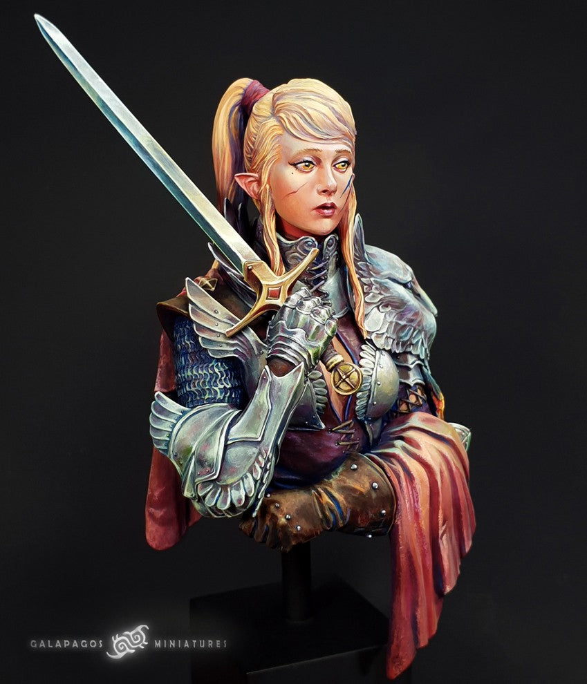 Galapagos Miniatures GP-B010 Alai 'The Templar's Atonement Bust