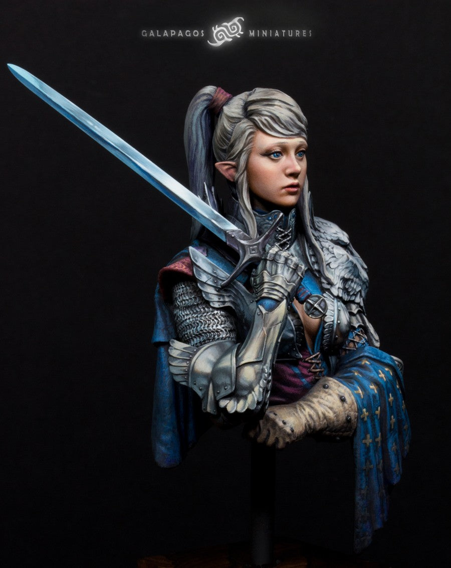 Galapagos Miniatures GP-B010 Alai 'The Templar's Atonement Bust