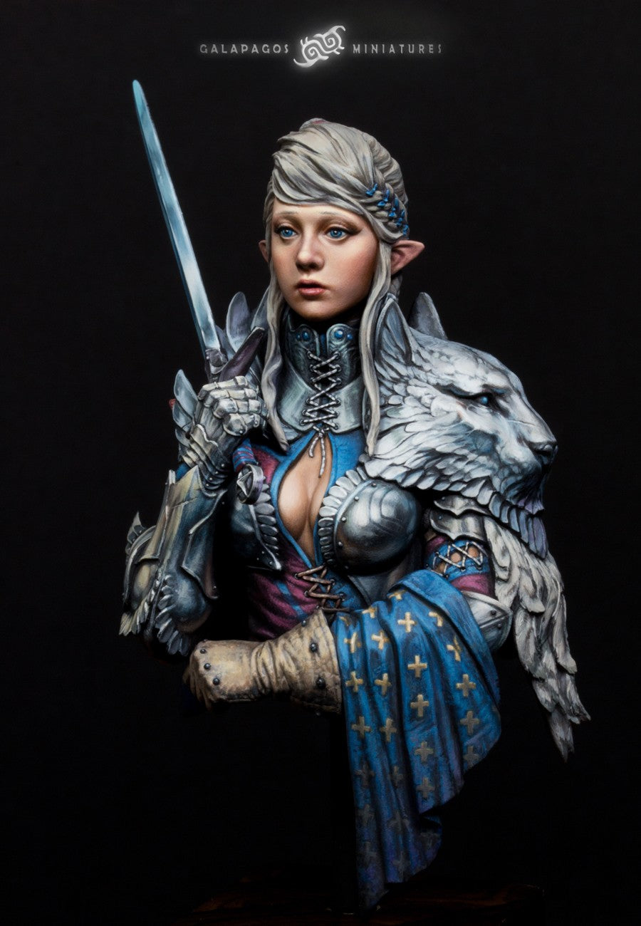 Galapagos Miniatures GP-B010 Alai 'The Templar's Atonement Bust
