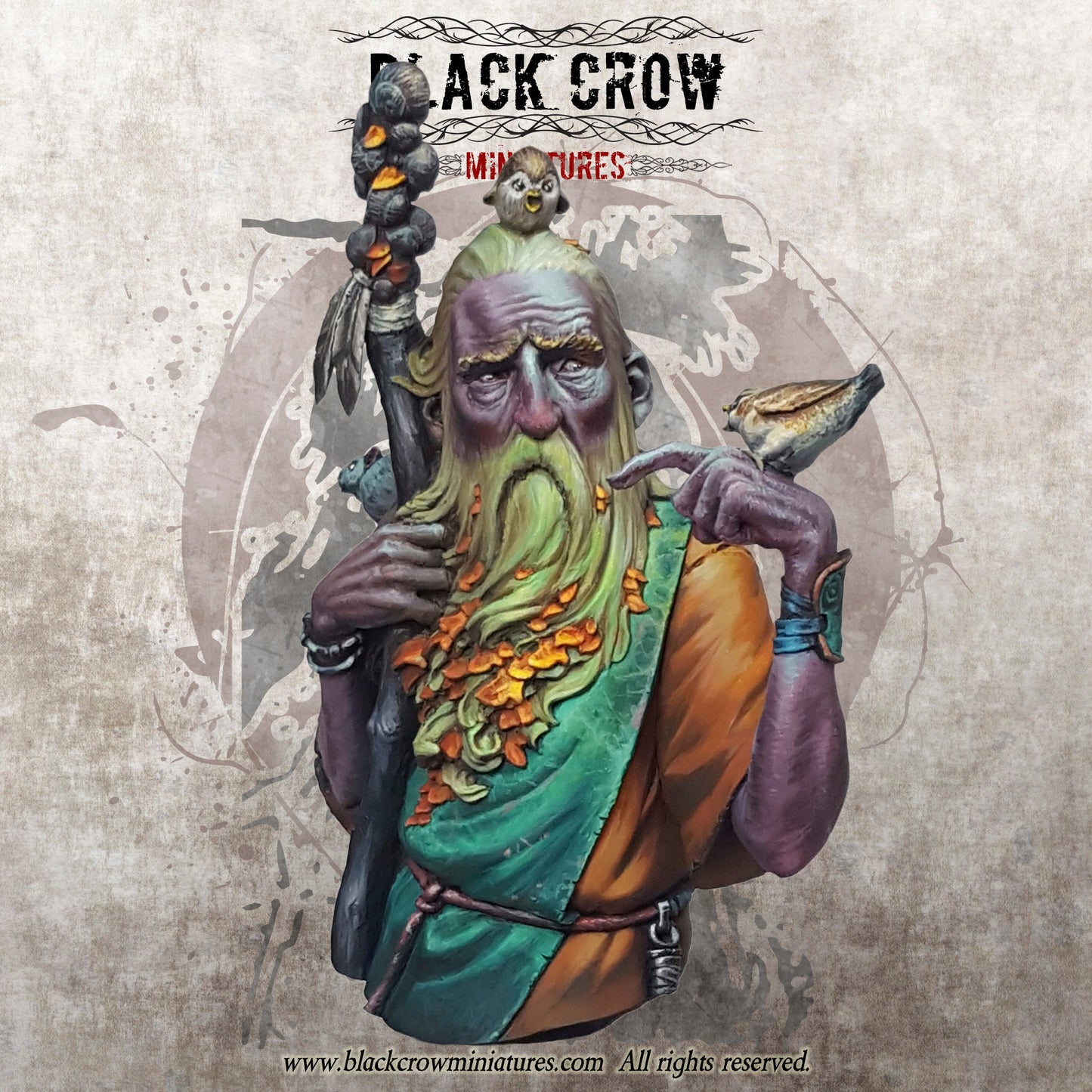 Black Crow Miniatures CORMAC Bust 1/12