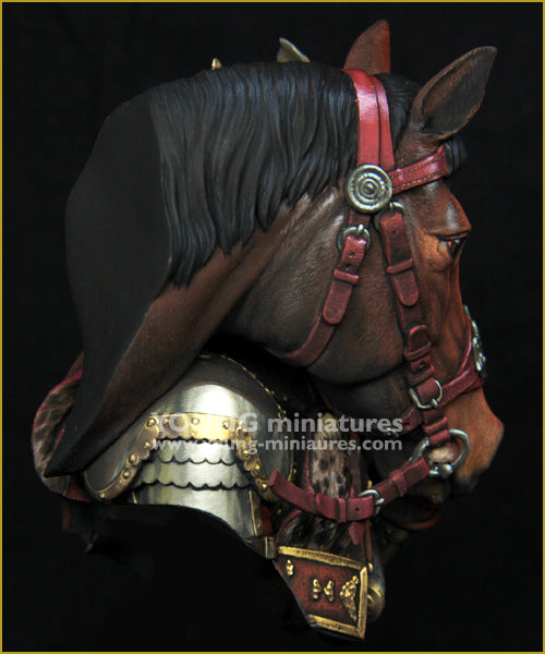Young Miniatures Comradeship Polish Hussars 17th cen.  1/10 Bust Resin YH1869 BUST