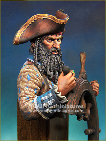 Young Miniatures The PIRATE - Modified a design of ‘BLACK BEARD 1718’  1/10 Bust Resin YH1859 BUST